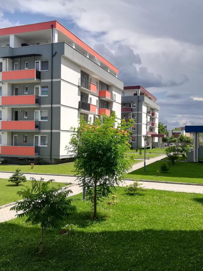 Voyage Cubic Adults Only * Sibiu