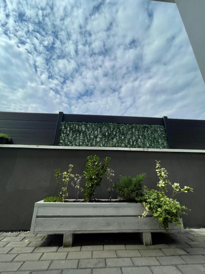 Apartamento Voyage Cubic Adults Only Sibiu